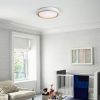 LED Flush Mount Ceiling Light Fixture, 19.69in 36W,3600LM, 5 CCT Colors 2700K 3000K 3500K 4000K 5000K