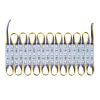 LED Storefront Lights for Business Store Window Advertising