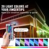 LED Storefront Lights for Business Store Window Advertising